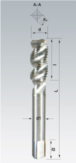 ������˿׶